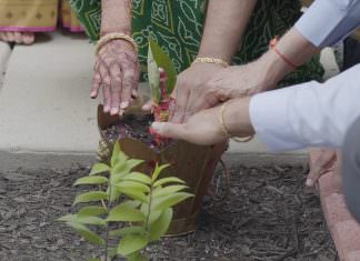 Sheraton Tysons Corner Tysons VA Wedding | Sejal & Shaleen | Sejal Pithi Part I