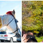 the-merion-cinnaminson-nj-hindu-wedding-khushboo-ruben-57.jpg
